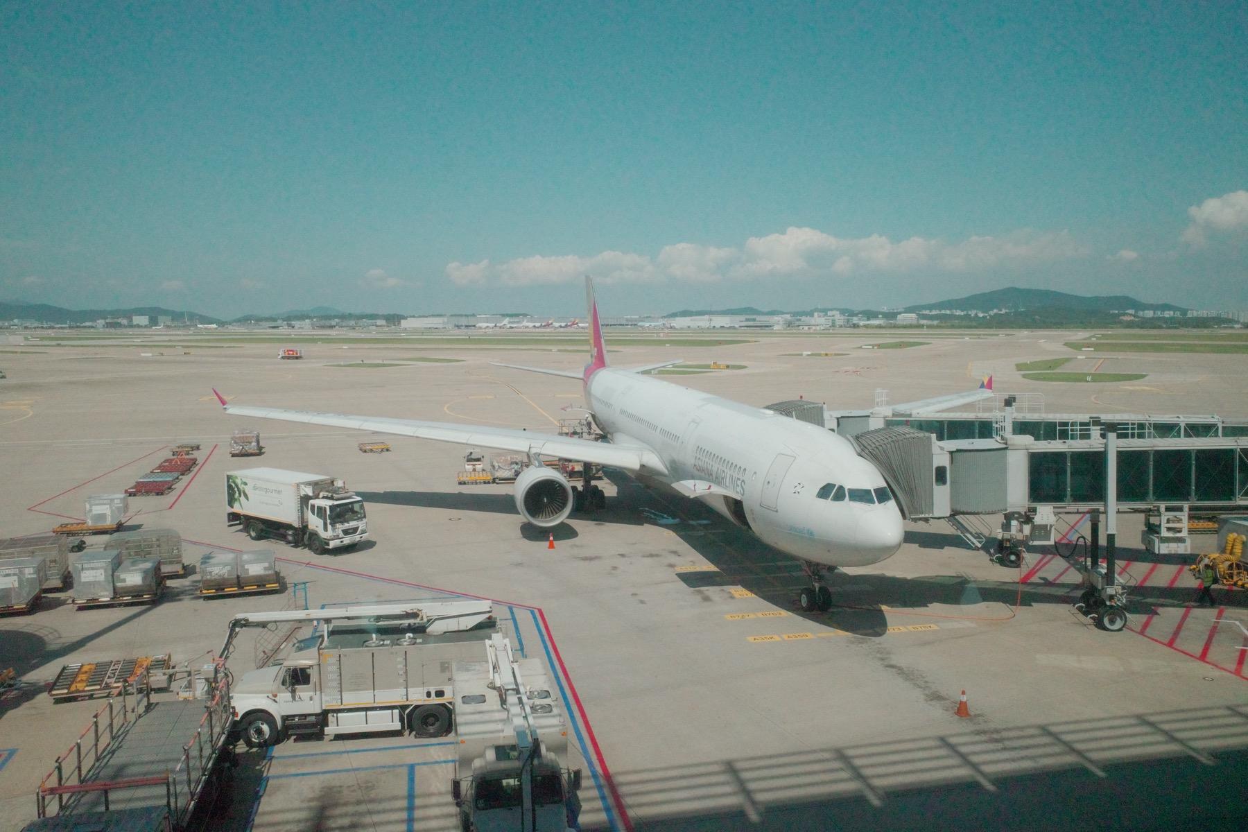 これから乗る飛行機