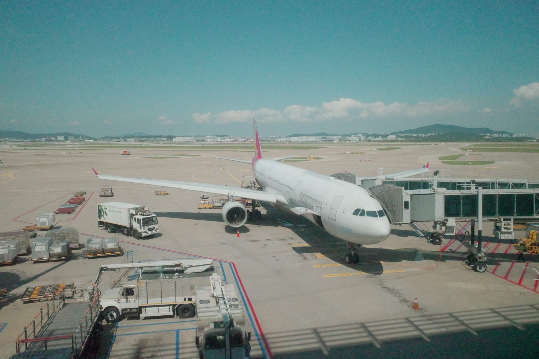 これから乗る飛行機